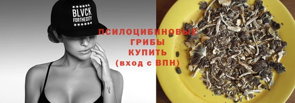 эйфоретик Аркадак