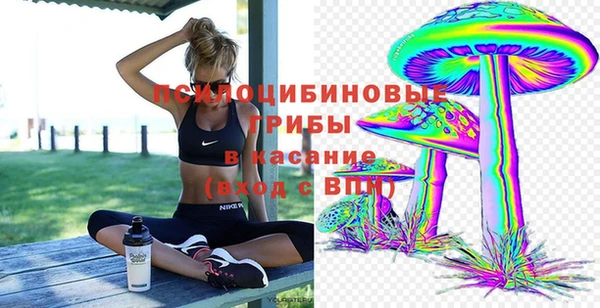 PSILOCYBIN Россошь