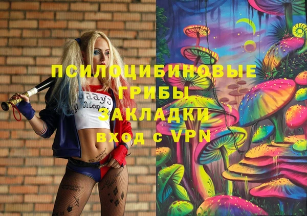 эйфоретик Аркадак