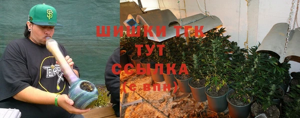 PSILOCYBIN Армянск