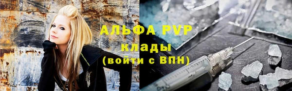 эйфоретик Аркадак