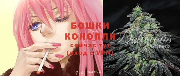 mdpv Иннополис